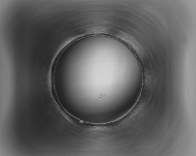 X0000102270894200807251347