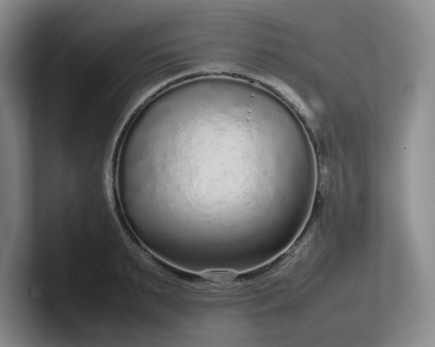 X0000102270895200807251347