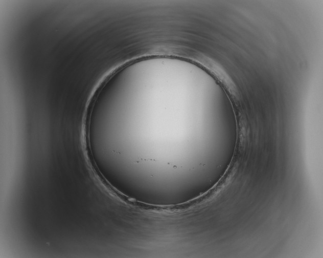 X0000102270896200807251347