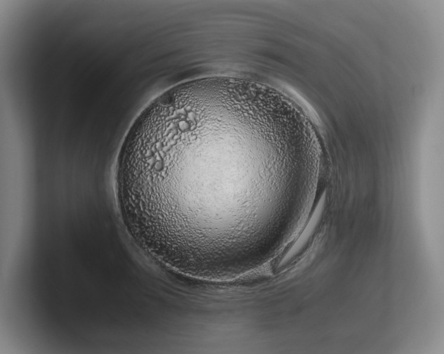 X0000102270899200807251347