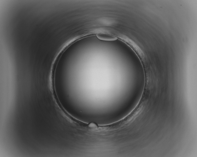 X0000102270902200807251347