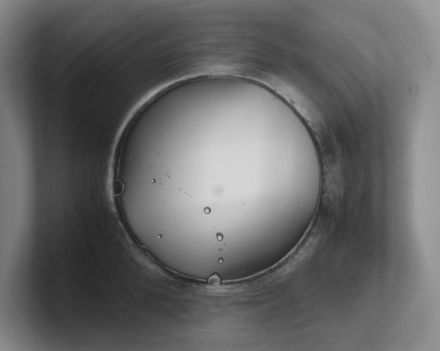 X0000102270904200807251347