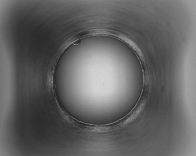 X0000102270905200807251347