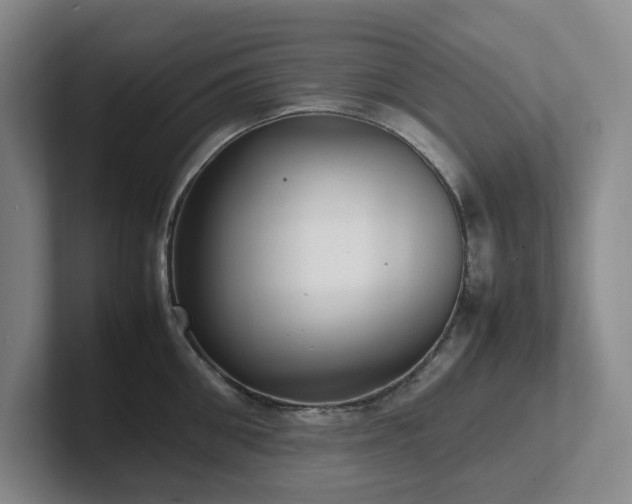 X0000102270906200807251347