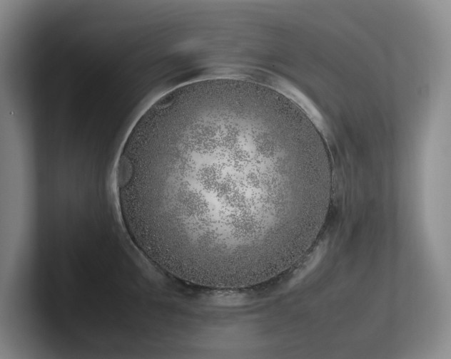 X0000102270907200807251347