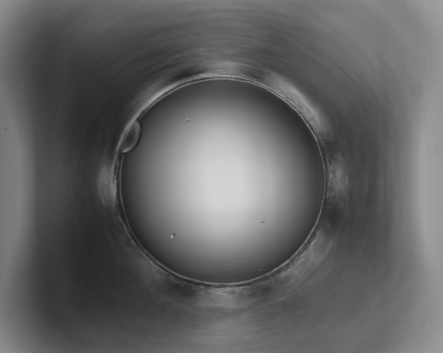 X0000102270908200807251347