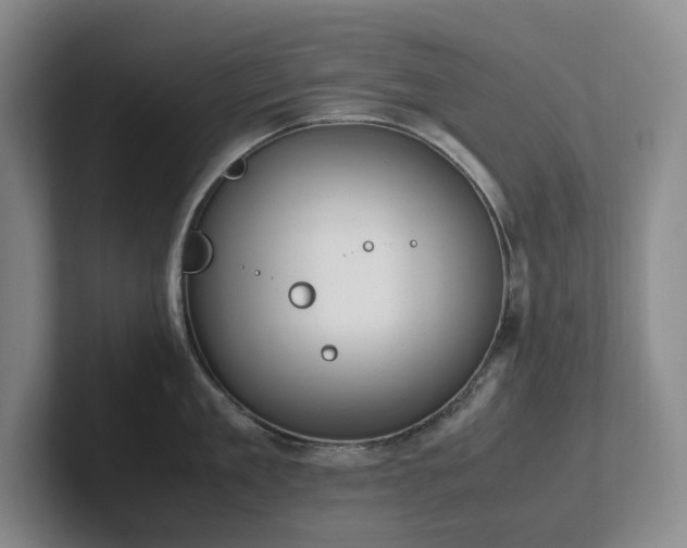 X0000102270909200807251347