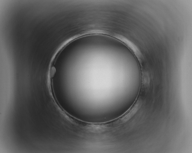 X0000102270910200807251347
