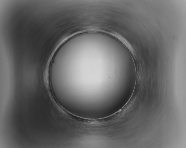 X0000102270911200807251347