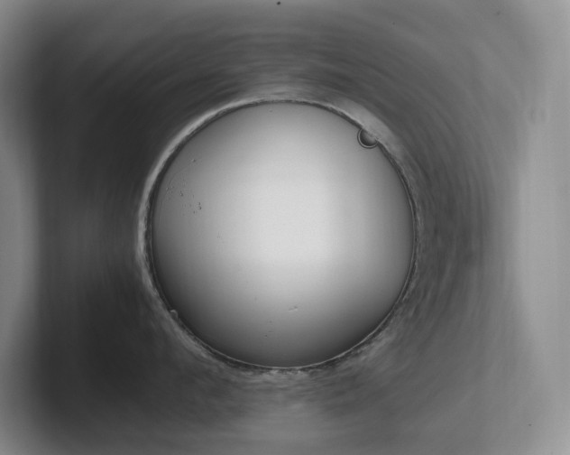 X0000102270912200807251347