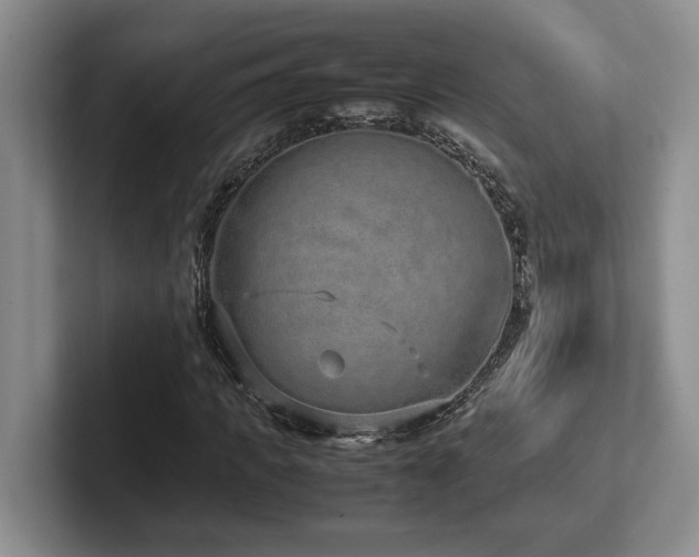 X0000102270917200807251346