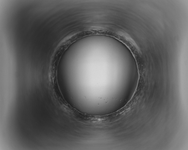 X0000102270920200807251346