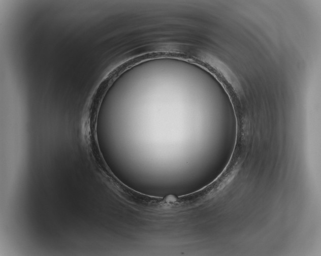 X0000102270923200807251346