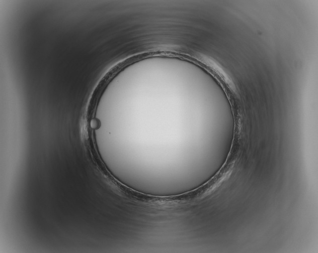X0000102270924200807251346