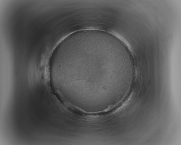 X0000102270925200807251346