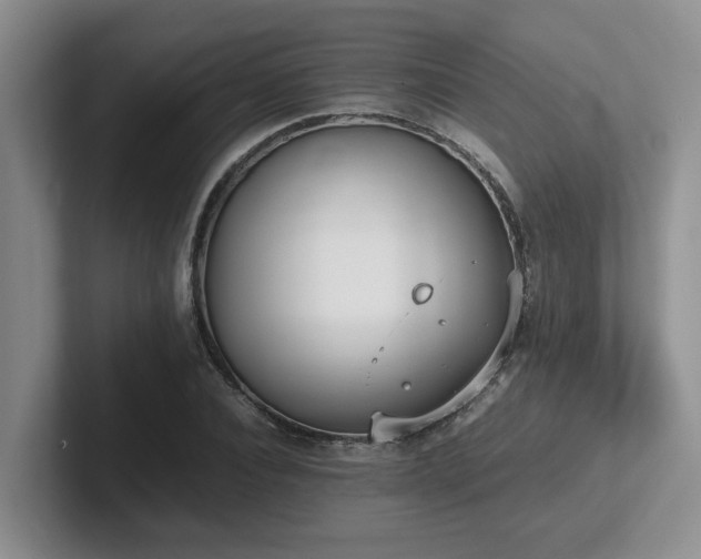 X0000102270928200807251346