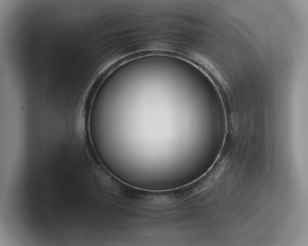 X0000102270931200807251346