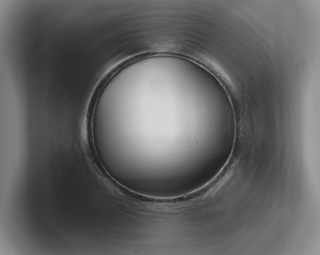 X0000102270932200807251346