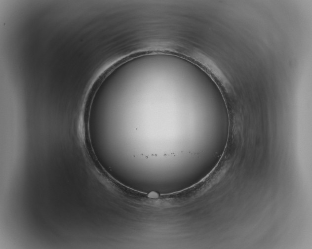 X0000102270936200807251346