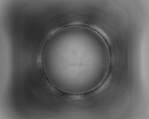 X0000102270937200807251346