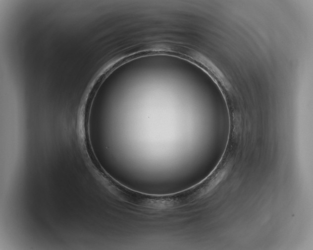 X0000102270939200807251346