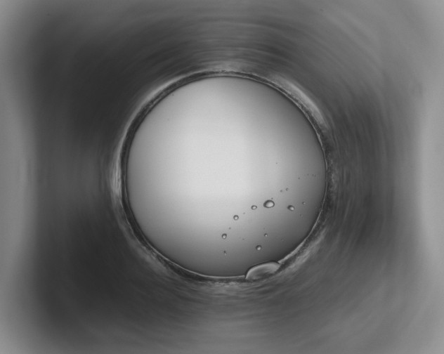 X0000102270940200807251346