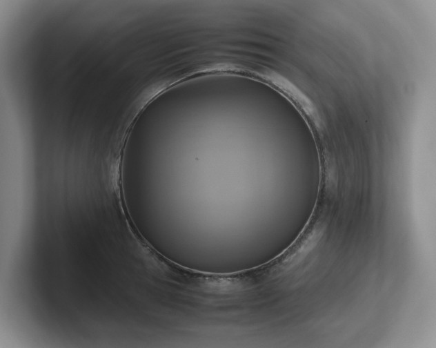 X0000102270945200807251346