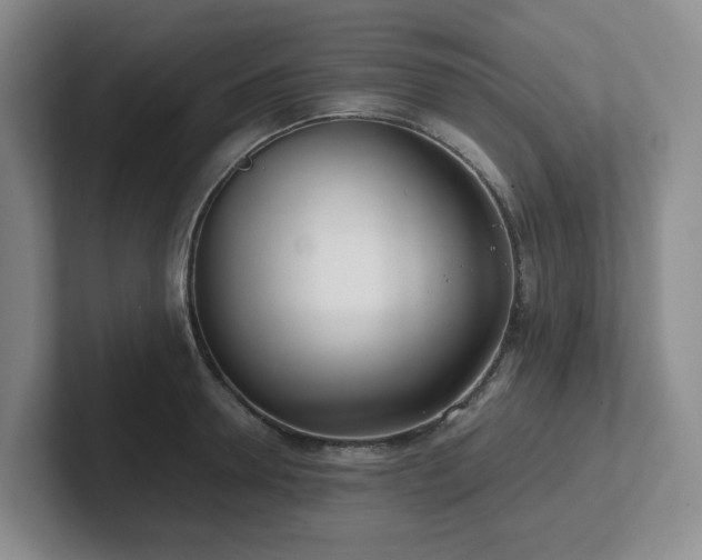 X0000102270946200807251346