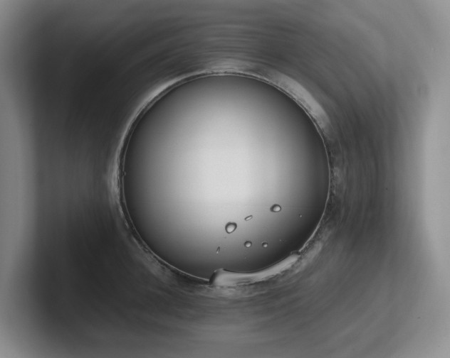 X0000102270948200807251346