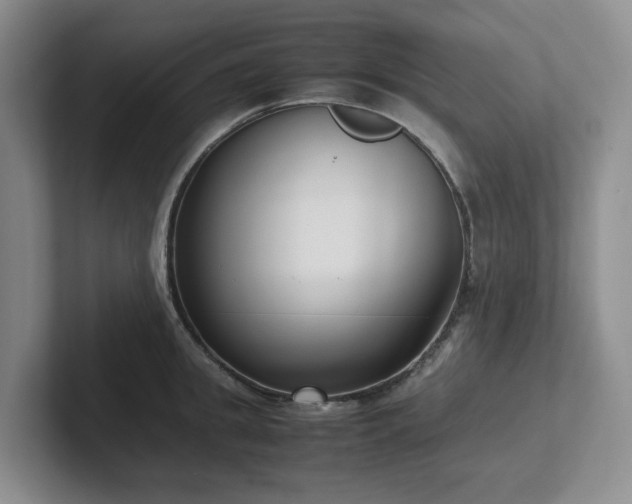 X0000102270949200807251346