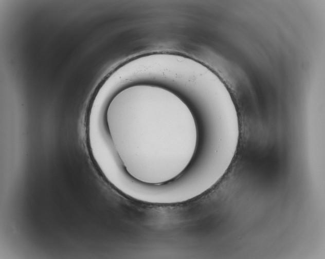 X0000102270950200807251347