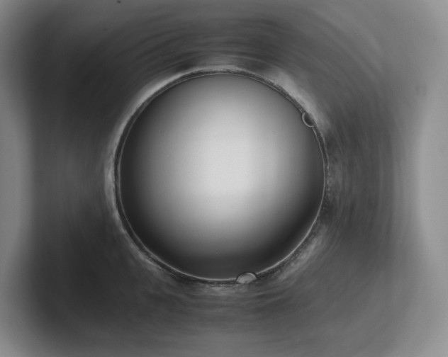 X0000102270951200807251347