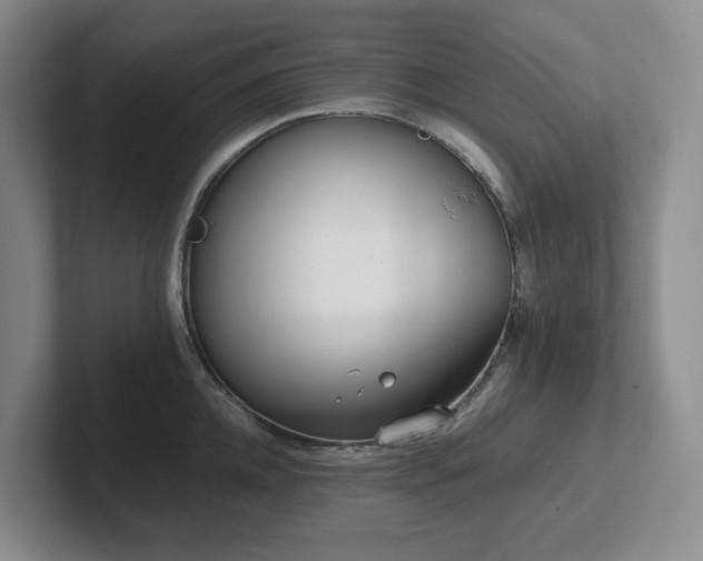 X0000102270952200807251347
