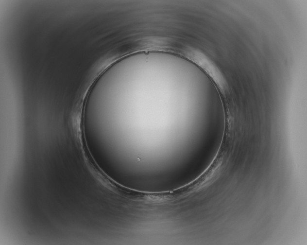 X0000102270954200807251347