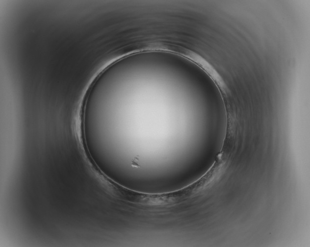 X0000102270955200807251347
