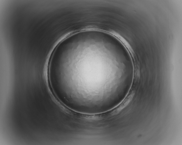 X0000102270957200807251347