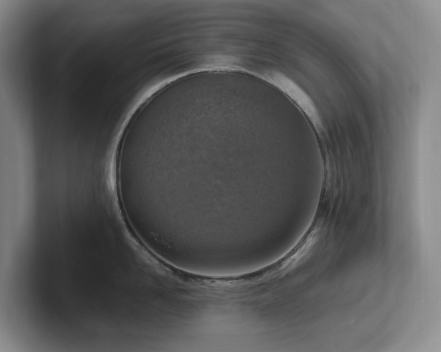 X0000102270958200807251347