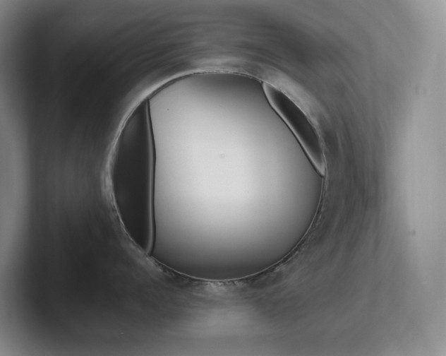 X0000102270960200807251347