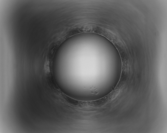X0000102270962200807251346