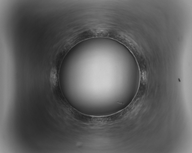 X0000102270963200807251346