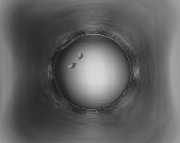 X0000102270964200807251346