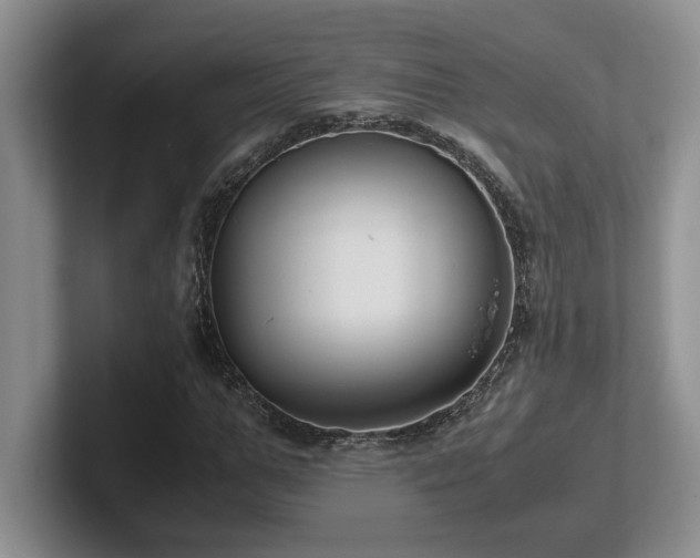 X0000102270967200807251346