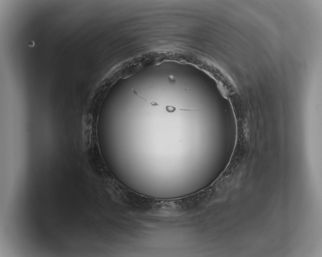 X0000102270968200807251346