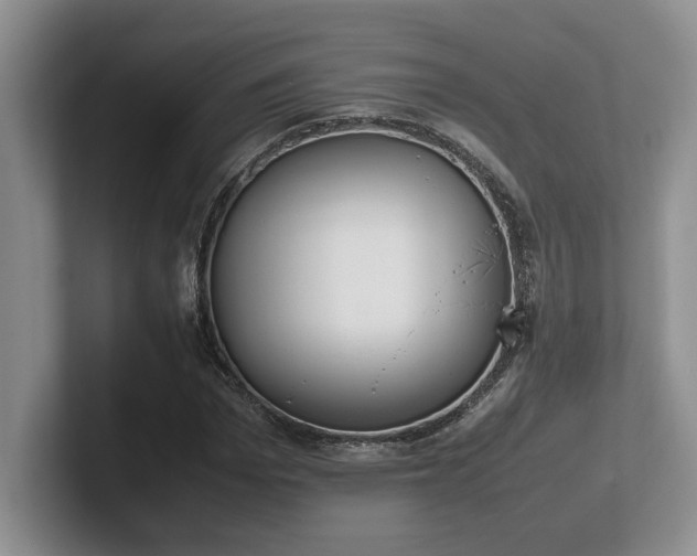 X0000102270969200807251346