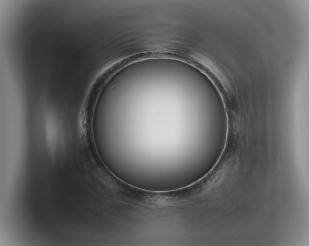 X0000102270971200807251346