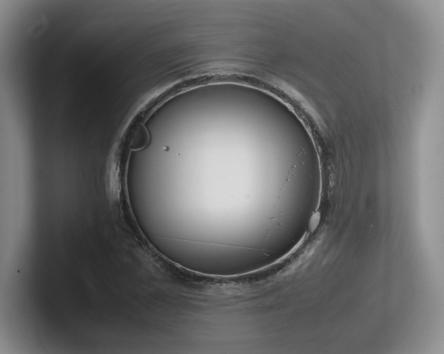 X0000102270973200807251346