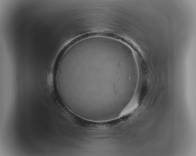 X0000102270975200807251346