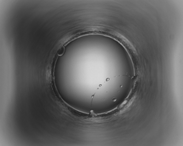 X0000102270977200807251346