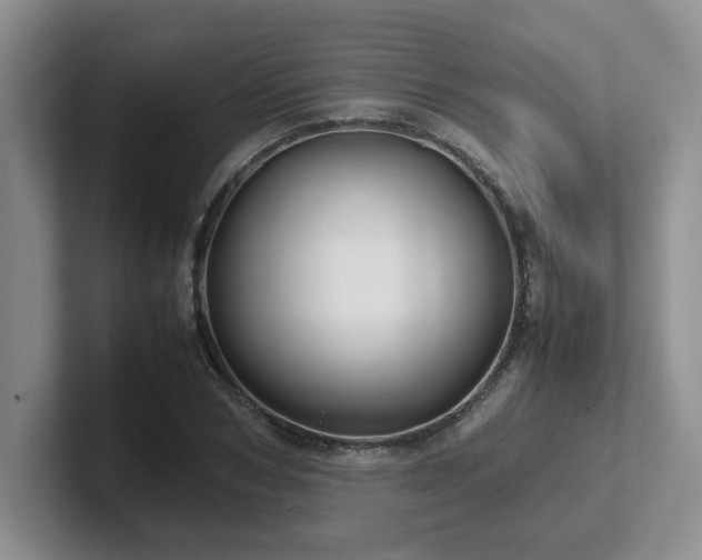 X0000102270978200807251346