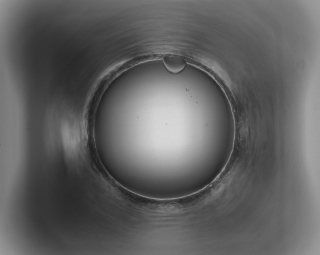 X0000102270979200807251346